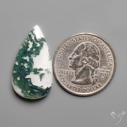 Tree Moss Agate Cabochon