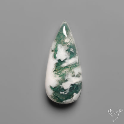 Tree Moss Agate Cabochon