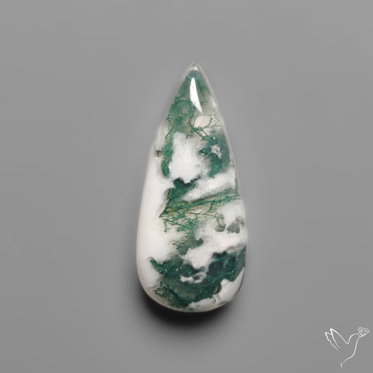 Tree Moss Agate Cabochon
