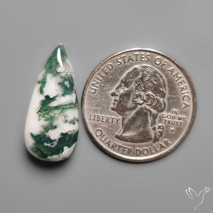 Tree Moss Agate Cabochon