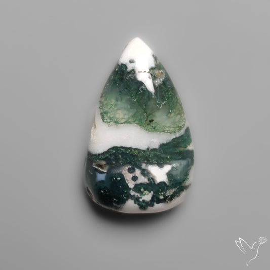 Tree Moss Agate Cabochon