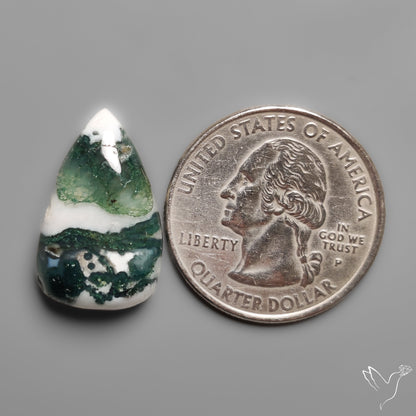 Tree Moss Agate Cabochon