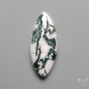 Tree Moss Agate Cabochon