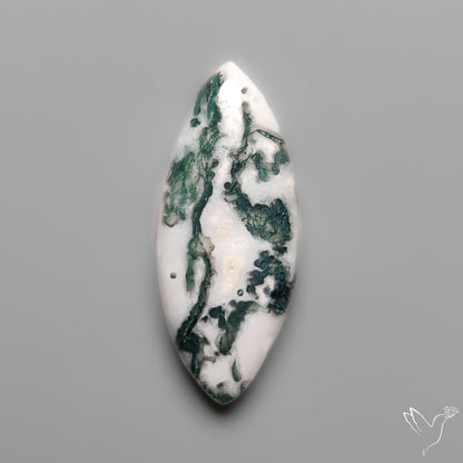 Tree Moss Agate Cabochon