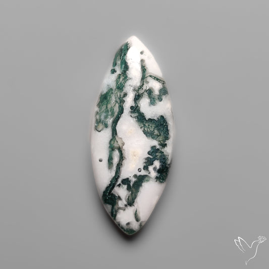 Tree Moss Agate Cabochon