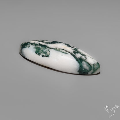 Tree Moss Agate Cabochon