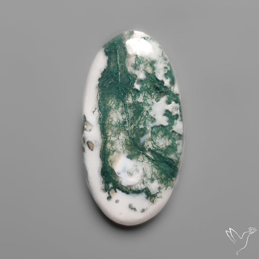 Tree Moss Agate Cabochon