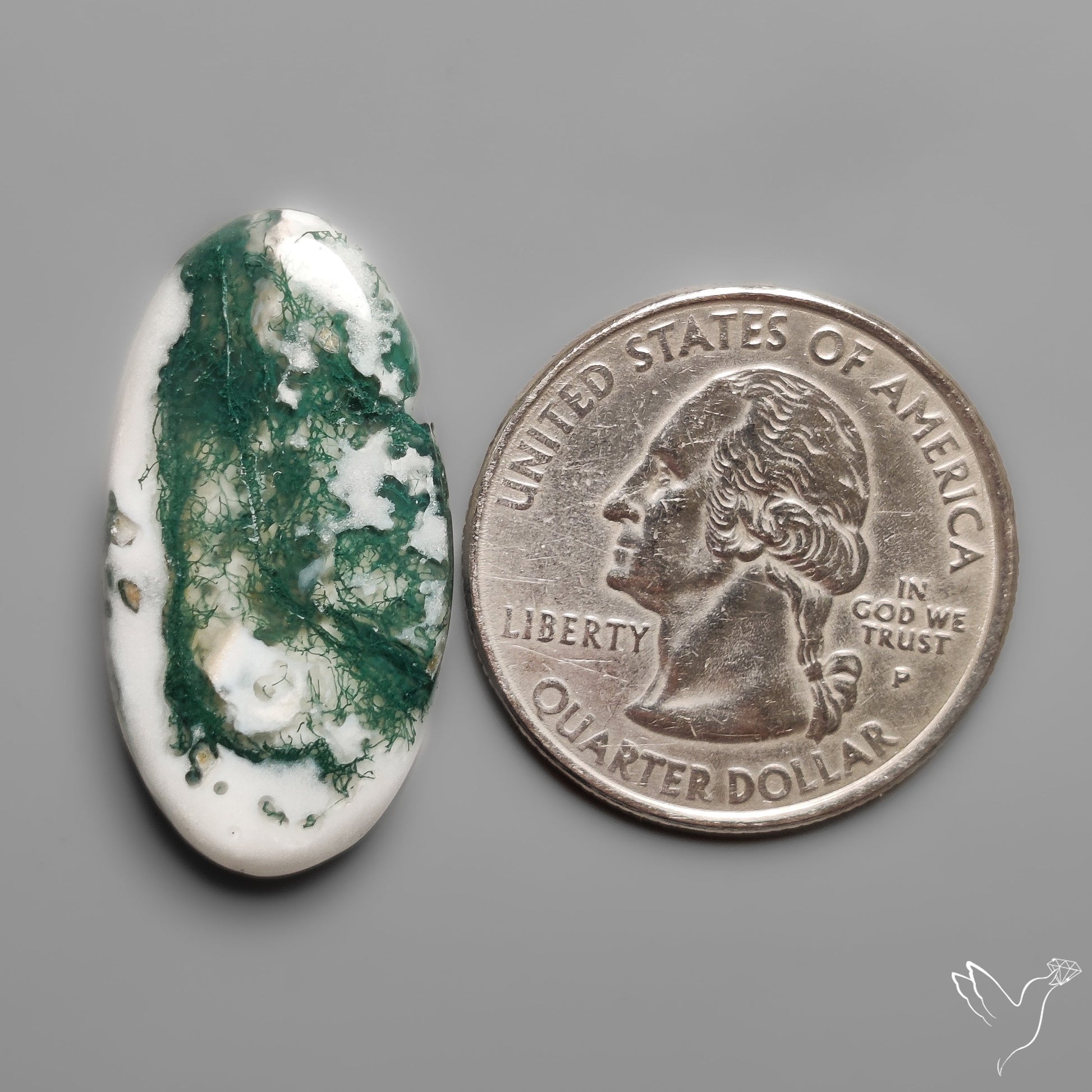 Tree Moss Agate Cabochon