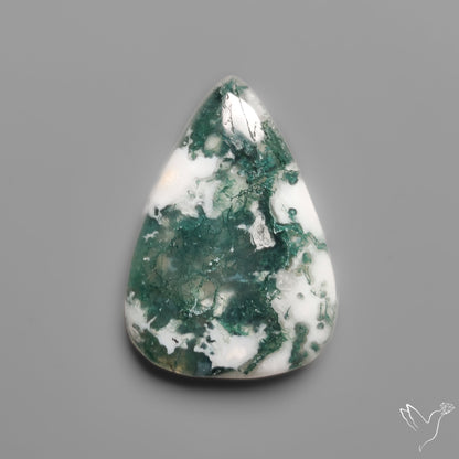 Tree Moss Agate Cabochon