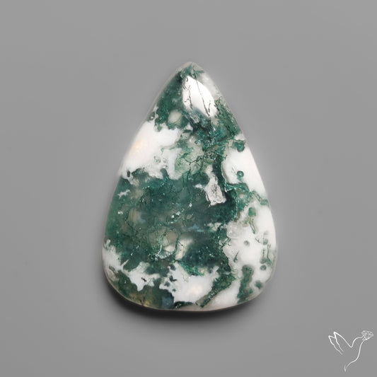 Tree Moss Agate Cabochon