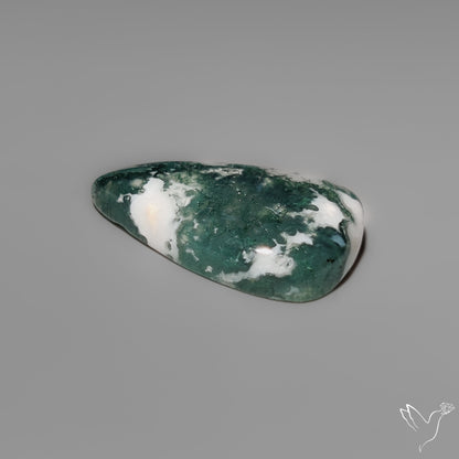 Tree Moss Agate Cabochon