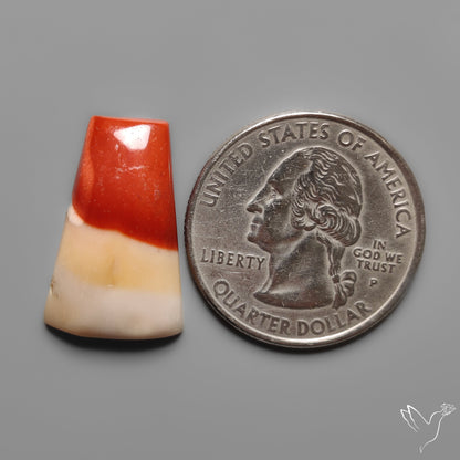 Mookaite Cabochon Selected Bicolor