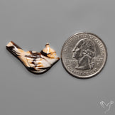 Peanut Wood Jasper Bird Carving