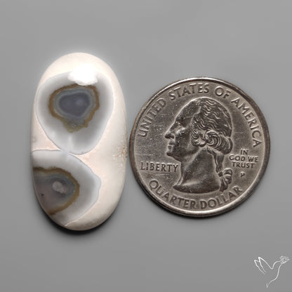 Solar Eye Quartz Cabochon