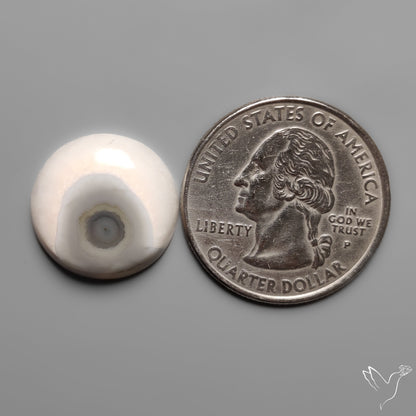 Solar Eye Quartz Cabochon