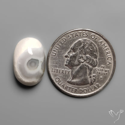 Solar Eye Quartz Cabochon