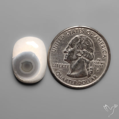 Solar Eye Quartz Cabochon