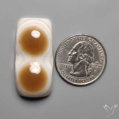 Naturally Occuring Eye Banded Agate