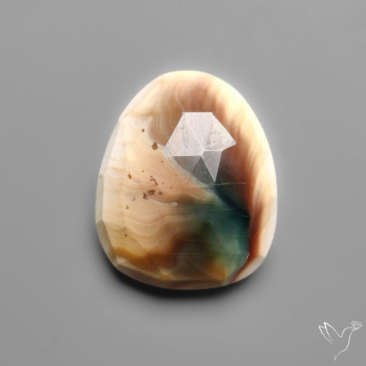 Rose Cut Shiva Eye Shell