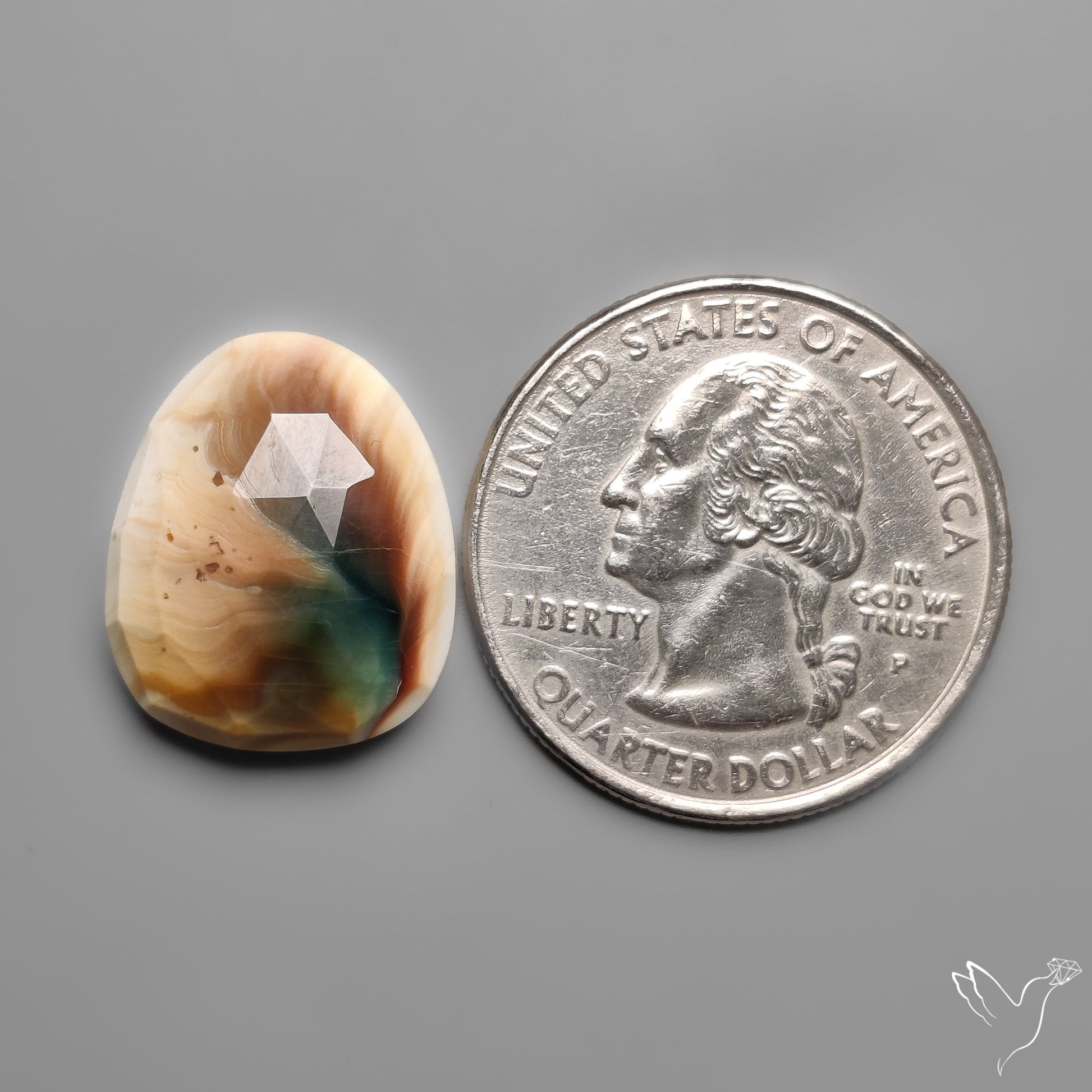 Rose Cut Shiva Eye Shell