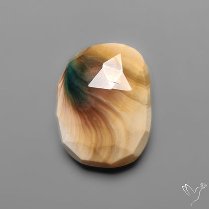 Rose Cut Shiva Eye Shell