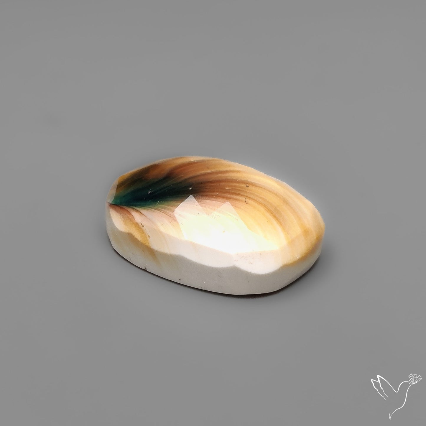 Rose Cut Shiva Eye Shell