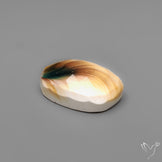 Rose Cut Shiva Eye Shell
