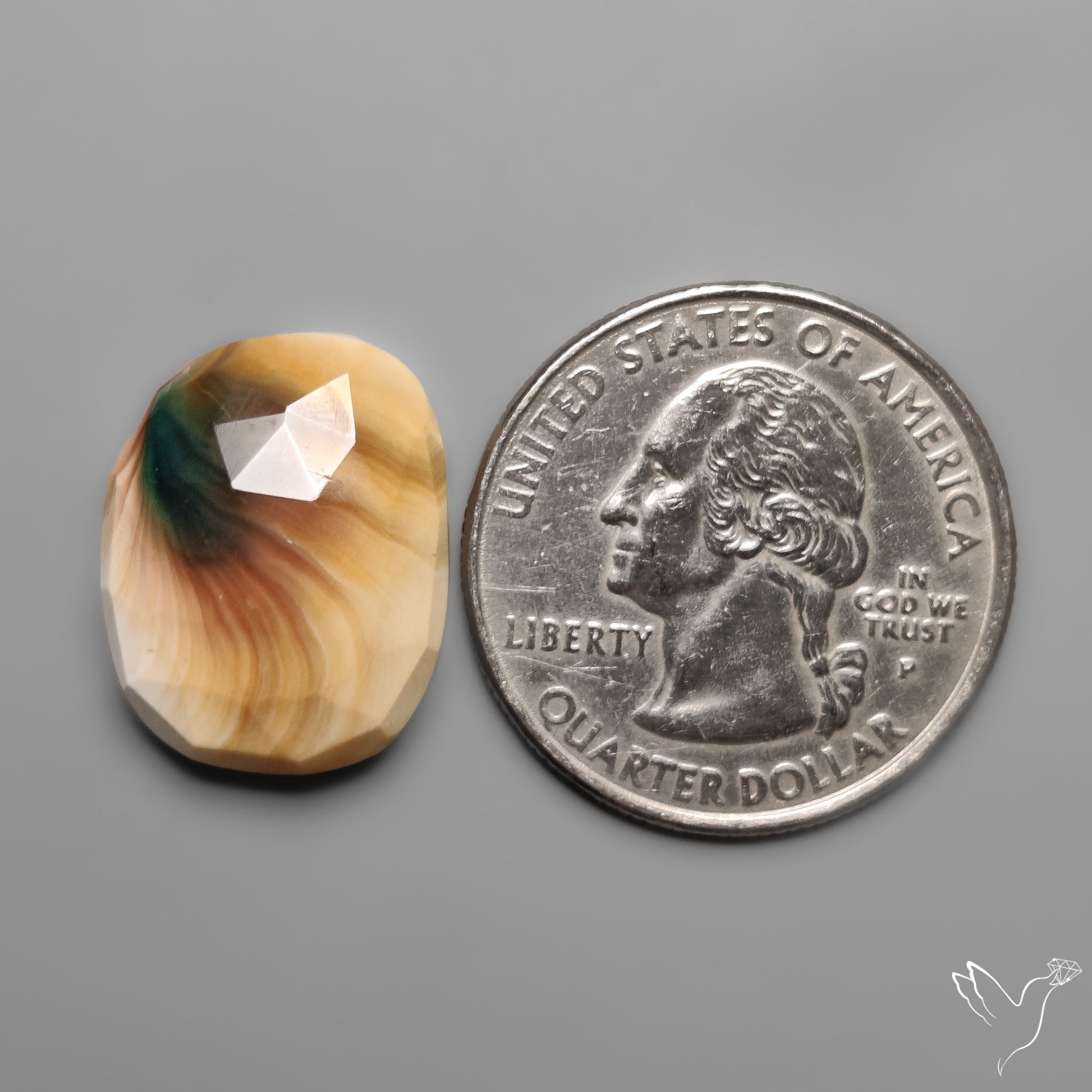 Rose Cut Shiva Eye Shell