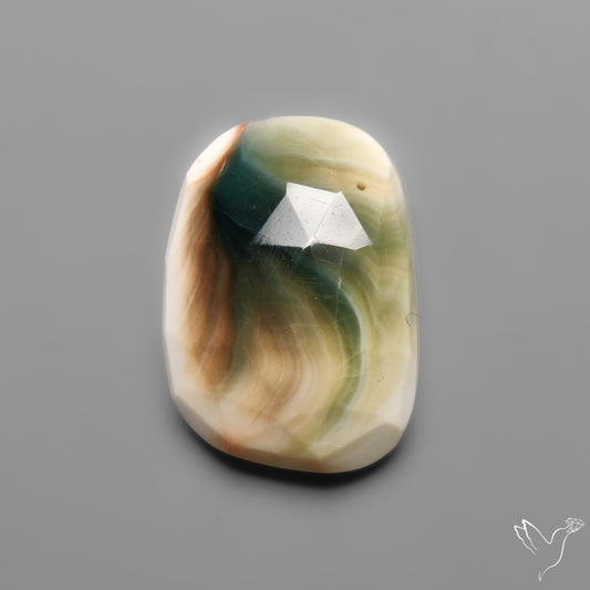 Rose Cut Shiva Eye Shell