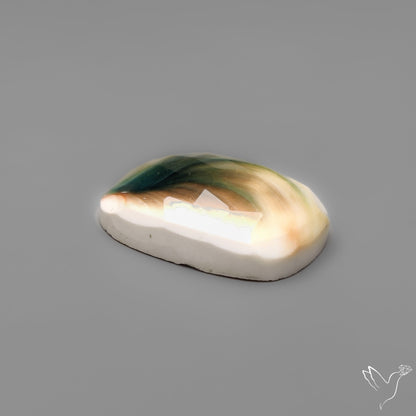 Rose Cut Shiva Eye Shell