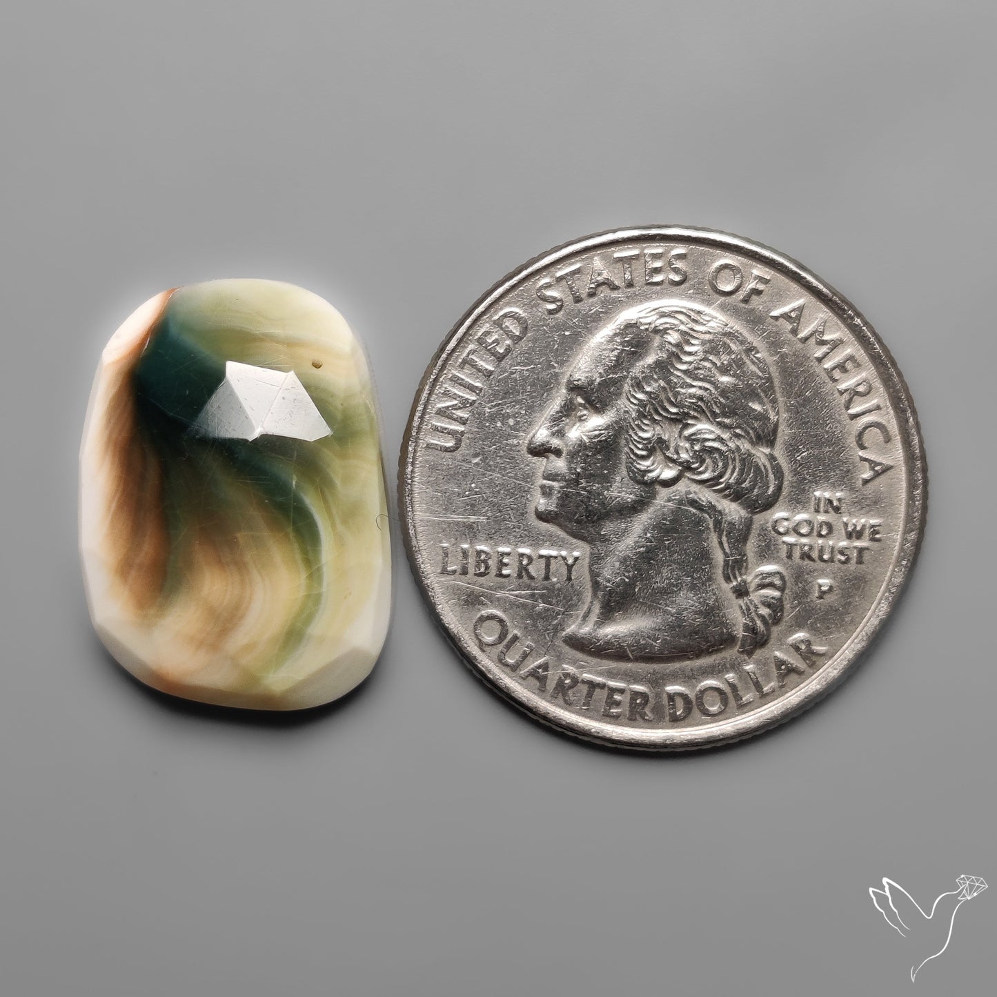 Rose Cut Shiva Eye Shell