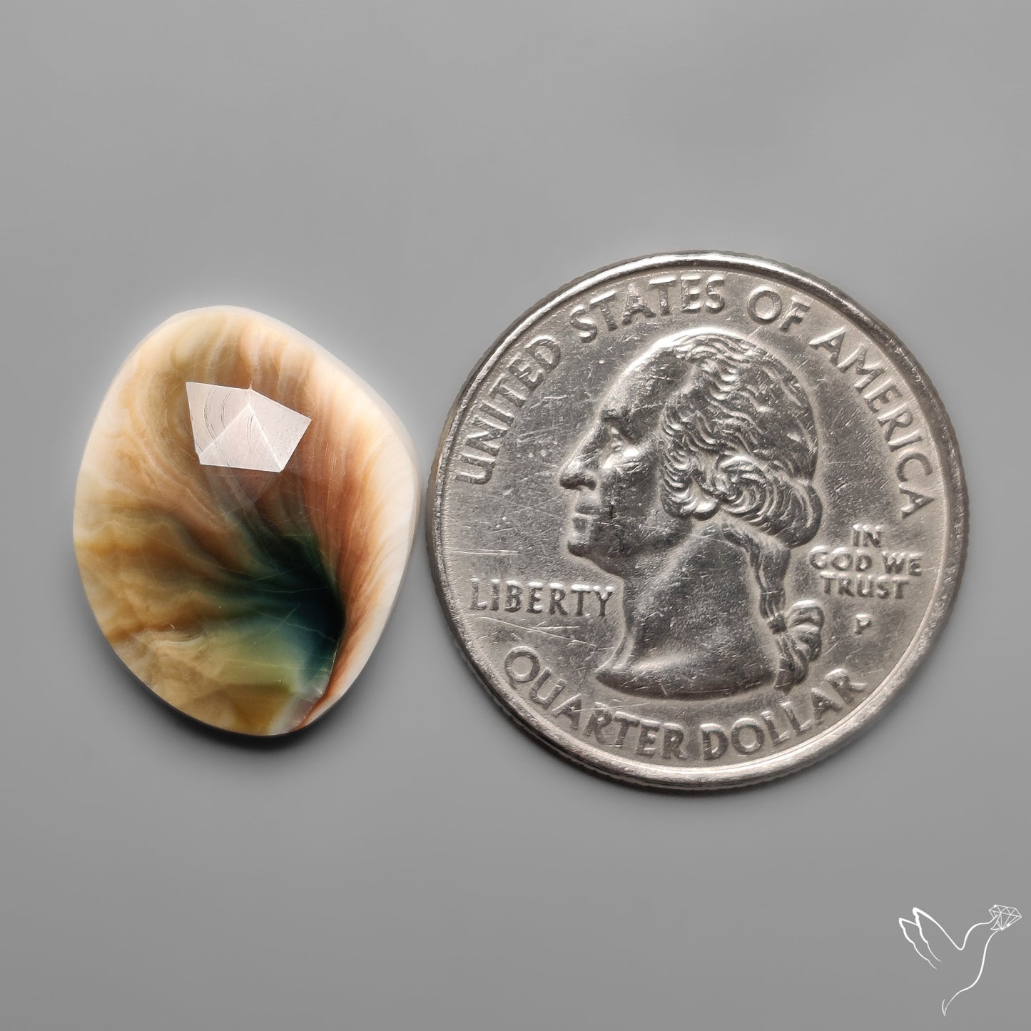 Rose Cut Shiva Eye Shell