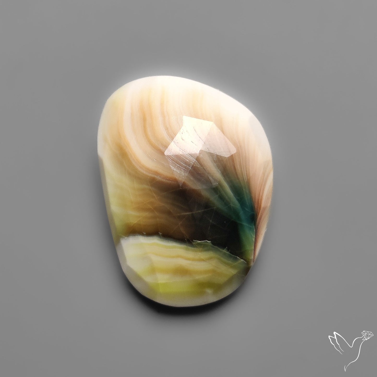 Rose Cut Shiva Eye Shell