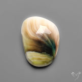Rose Cut Shiva Eye Shell