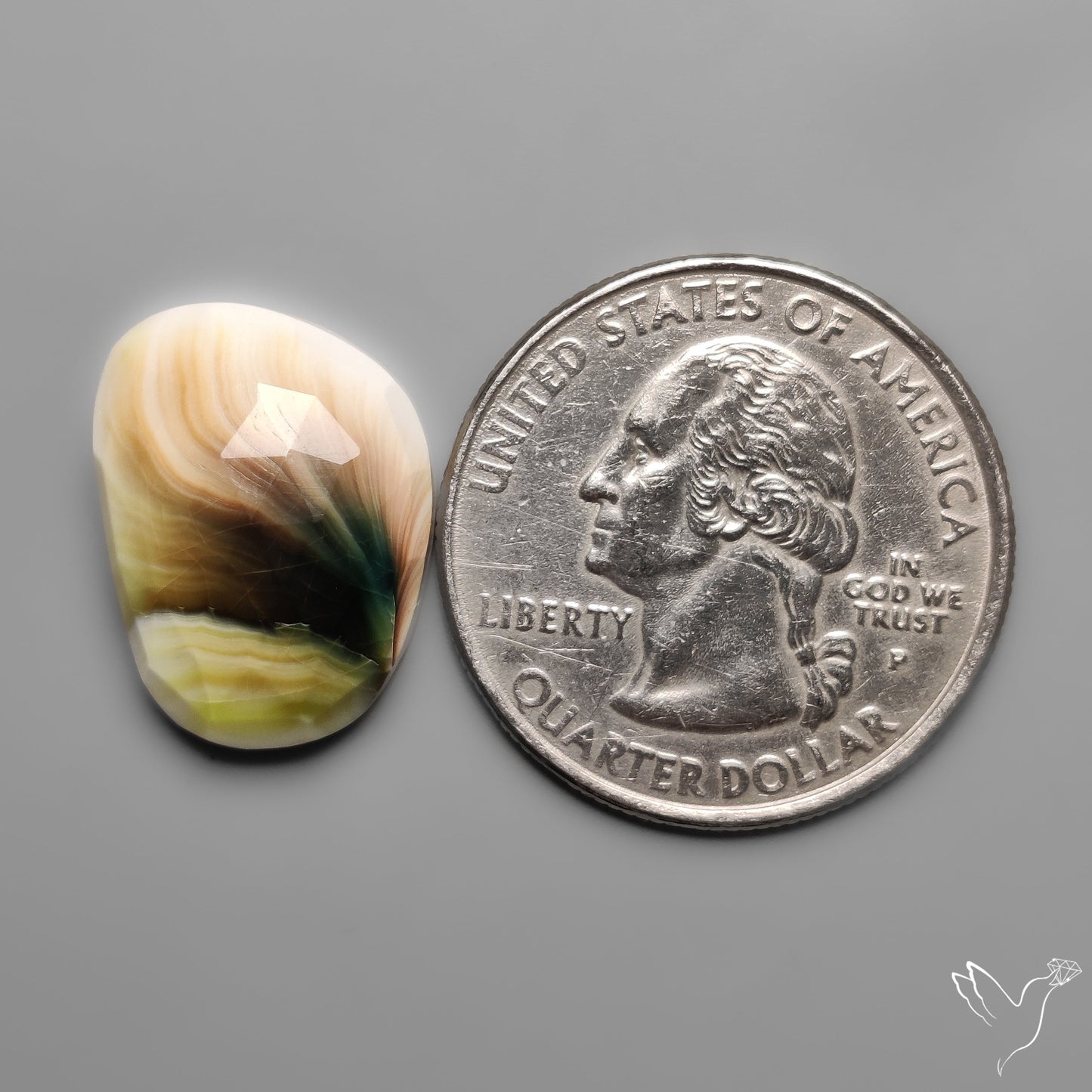 Rose Cut Shiva Eye Shell