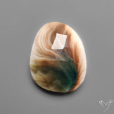 Rose Cut Shiva Eye Shell