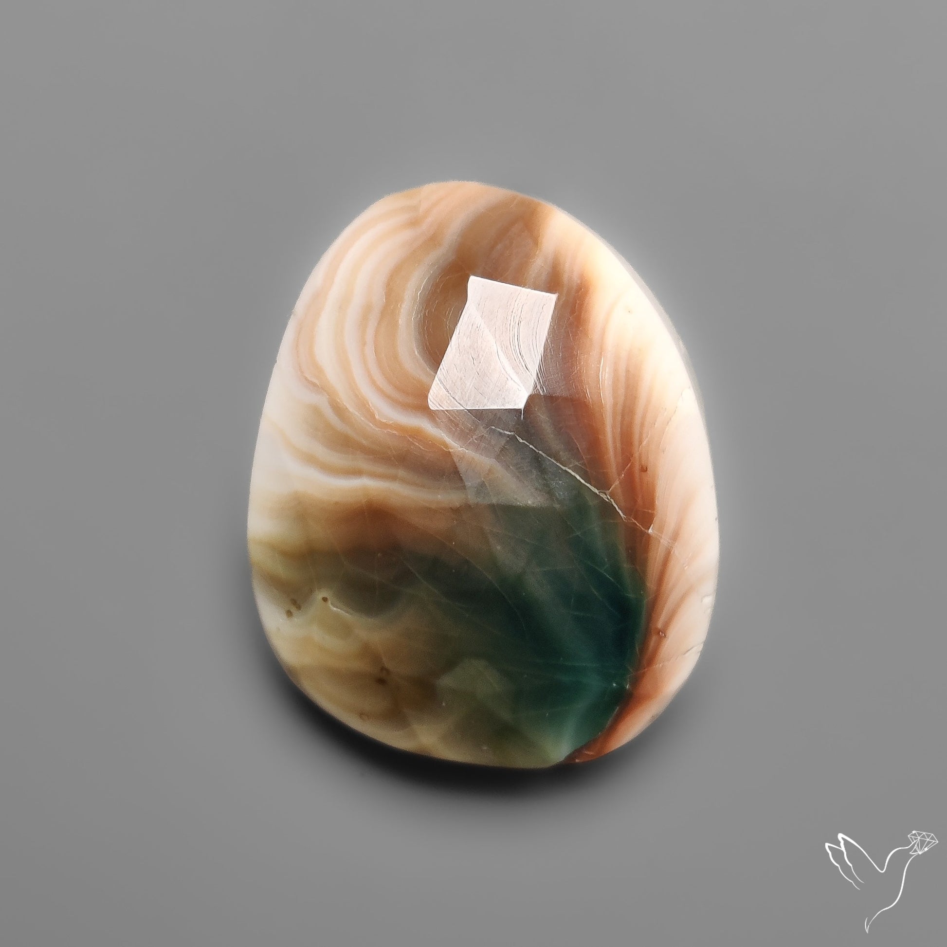 Rose Cut Shiva Eye Shell