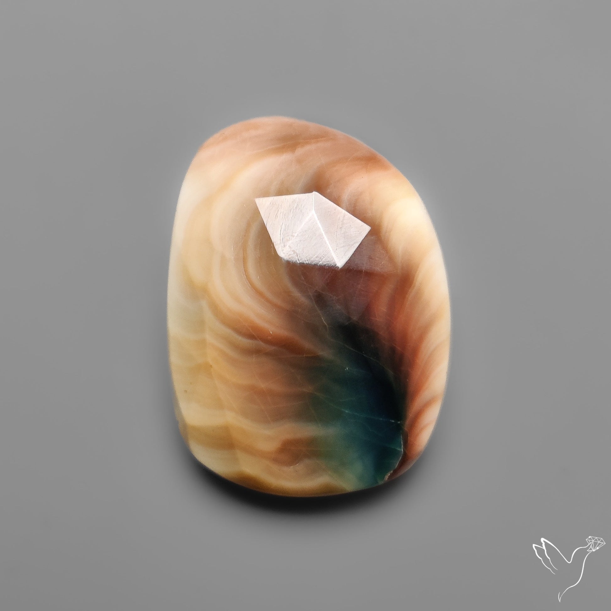 Rose Cut Shiva Eye Shell