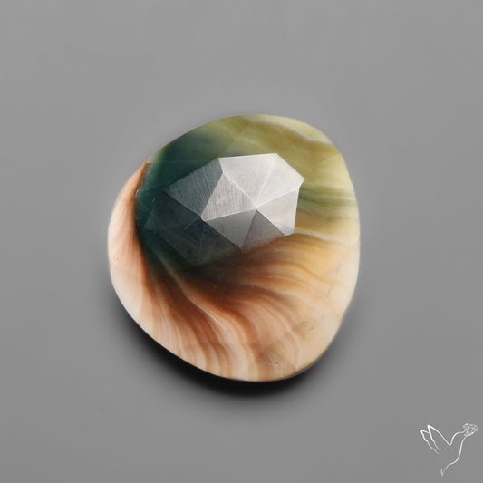 Rose Cut Shiva Eye Shell