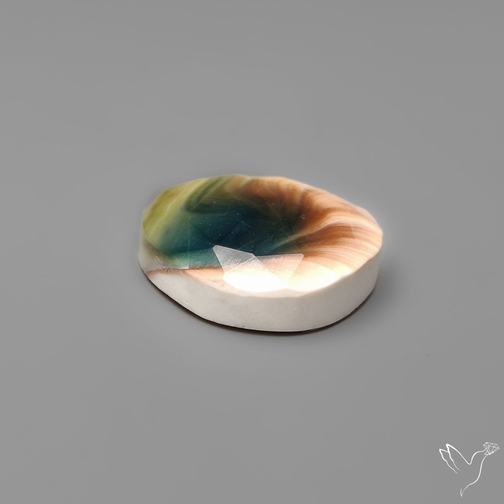 Rose Cut Shiva Eye Shell