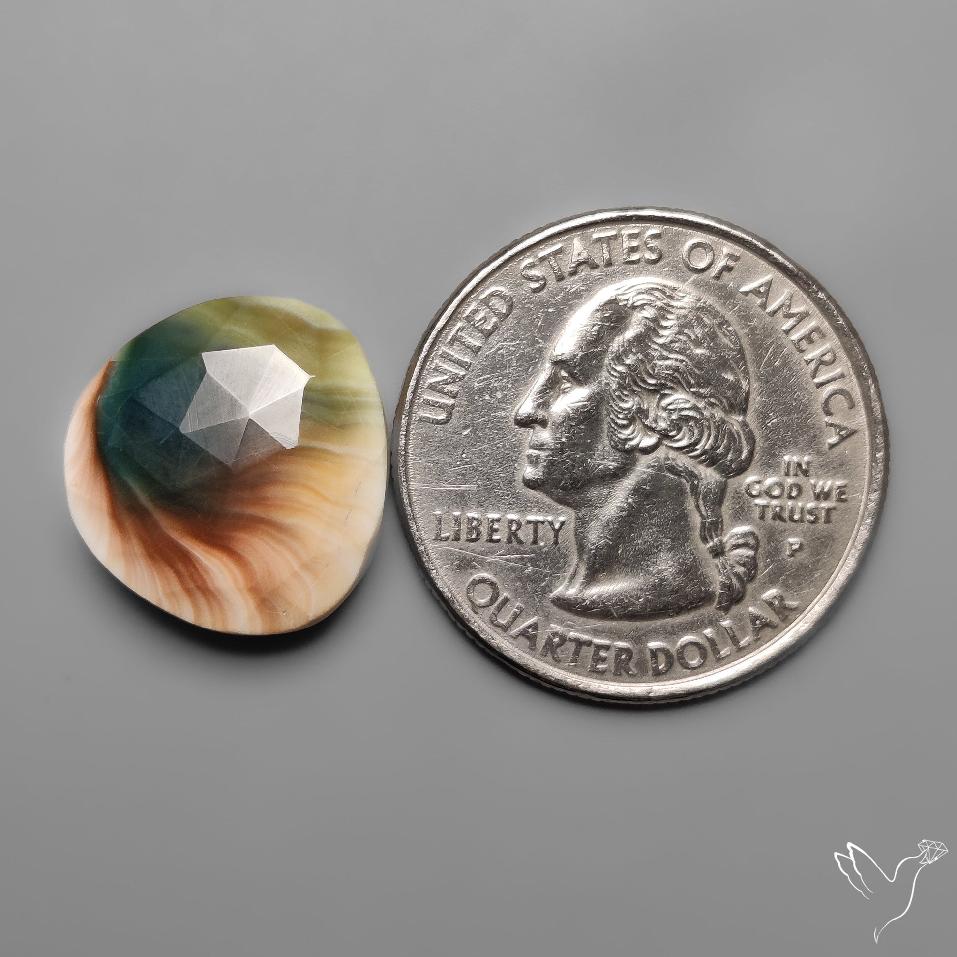 Rose Cut Shiva Eye Shell