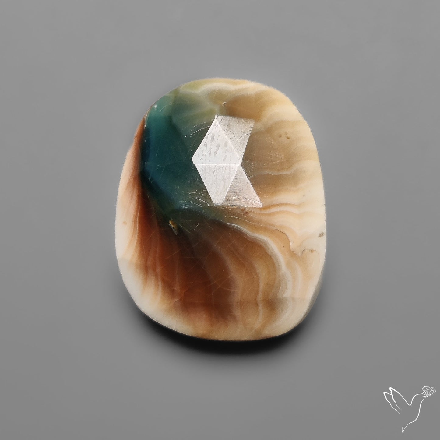 Rose Cut Shiva Eye Shell