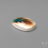 Rose Cut Shiva Eye Shell