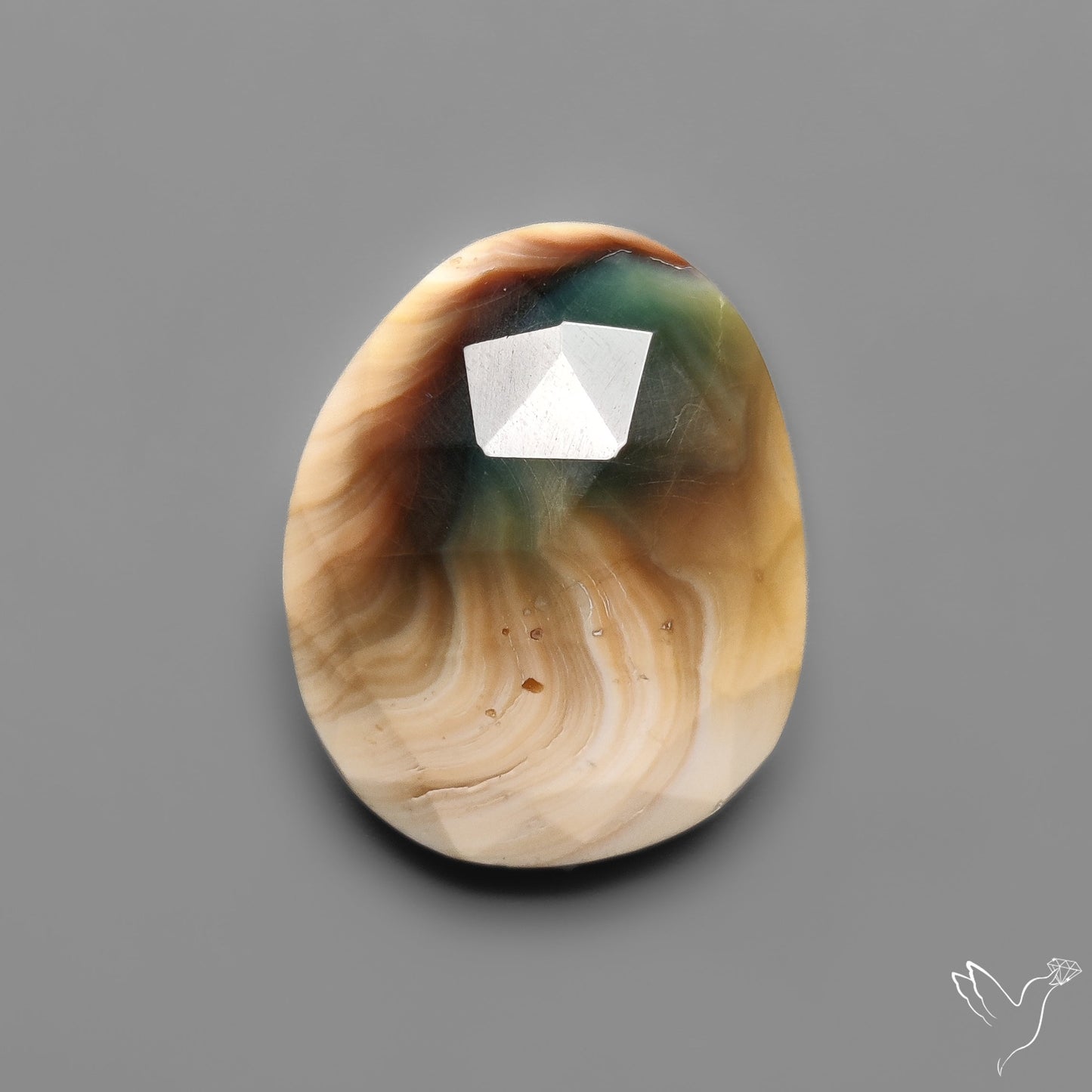 Rose Cut Shiva Eye Shell