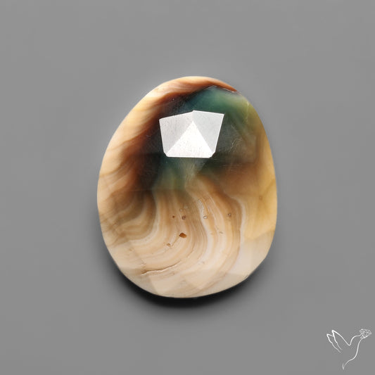 Rose Cut Shiva Eye Shell