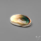 Rose Cut Shiva Eye Shell