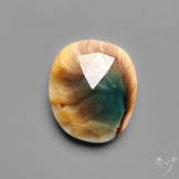 Rose Cut Shiva Eye Shell