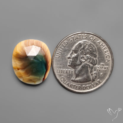 Rose Cut Shiva Eye Shell