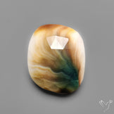 Rose Cut Shiva Eye Shell