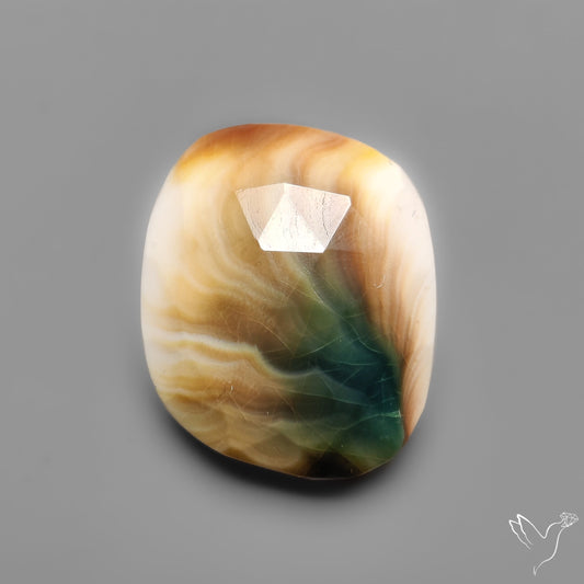 Rose Cut Shiva Eye Shell